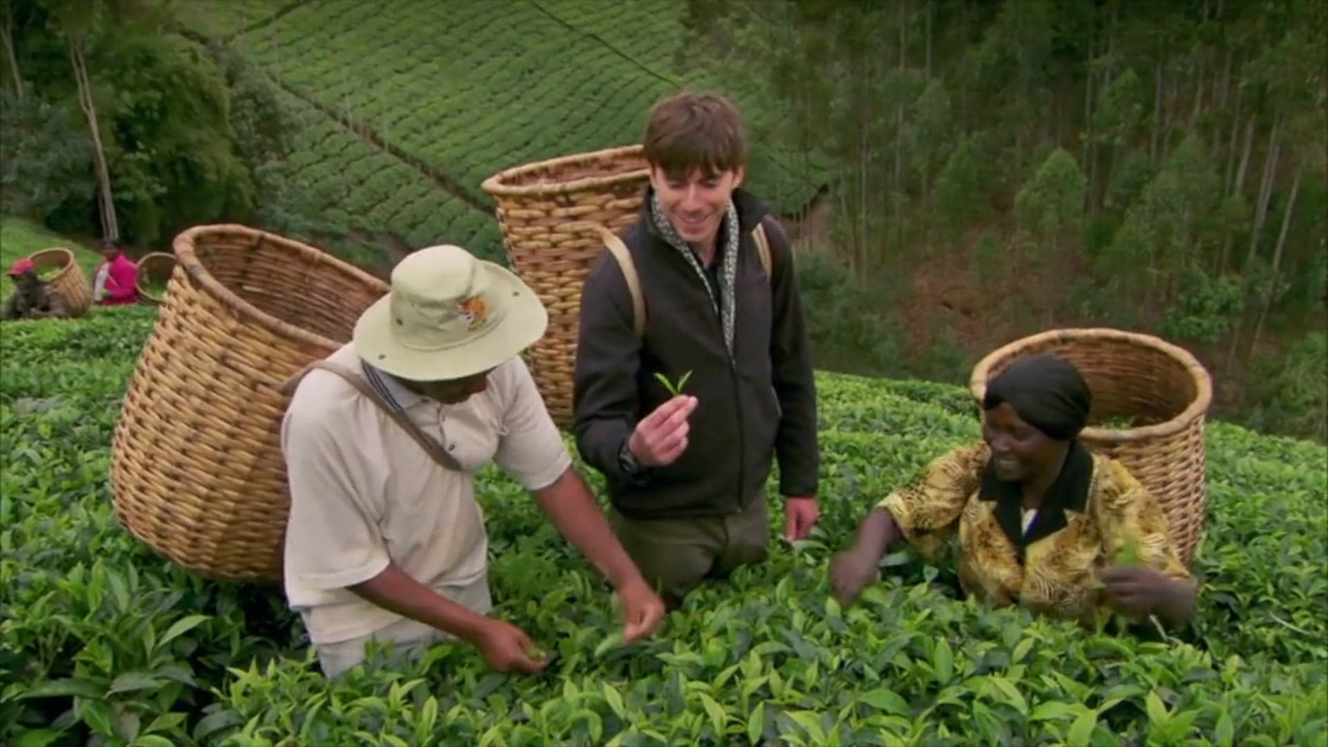 The Tea Trail with Simon Reeve production still placeholder